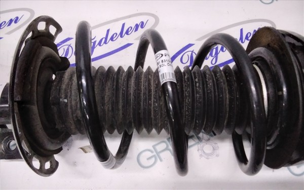 2018 FOCUS ÖN HELEZON YAYI (ÇIKMA)