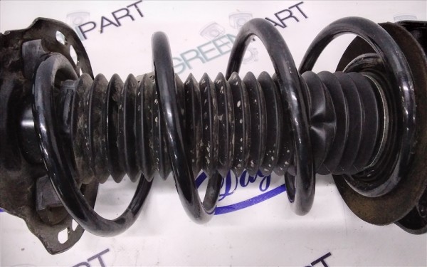 2018 FOCUS ÖN HELEZON YAYI (ÇIKMA)