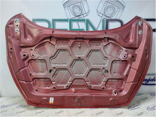 2018 FOCUS MOTOR KAPUTU (ÇIKMA)