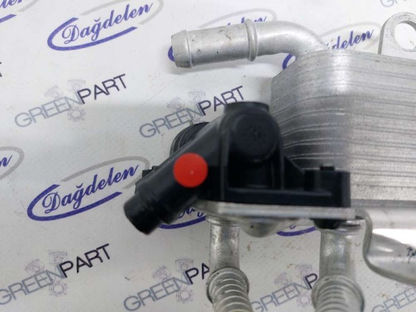 2018 FOCUS ŞANZIMAN YAĞ SOĞUTUCU (K)