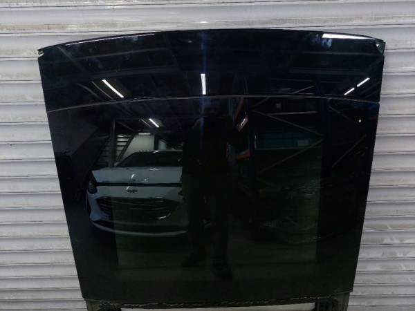 2018 FOCUS TAVAN CAMI KOMPLE (ÇIKMA)