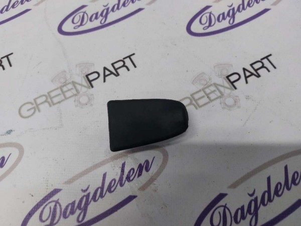 2020 KUGA KAPI KOLU BADEMİ (ÇIKMA)