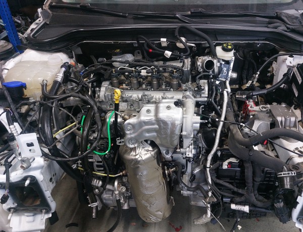 Ford Focus 1.5 dizel otomatik BOŞ MOTOR euro 6 - KX6Q 6006 KA